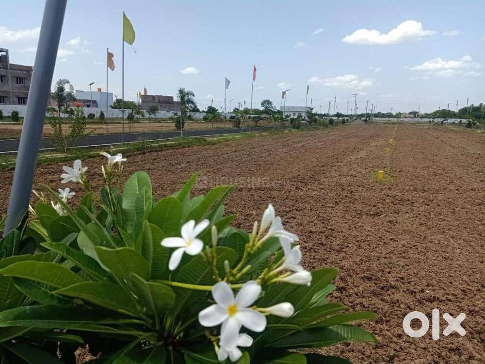 DC Converted A-Khata Plots – Near Kia, Wipro, Indo MIM – ₹1099