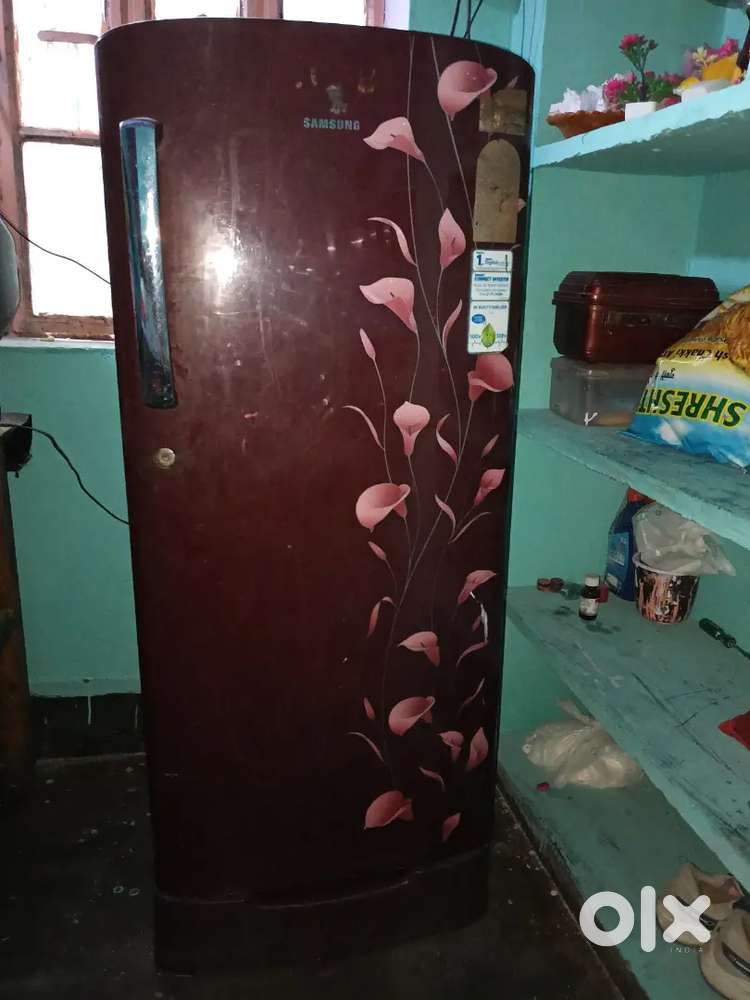 Chotti Daulatpur jamalpur