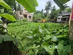 Land selling