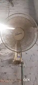 Wall fan haevells