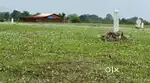 Be Premium Land  N. A plots owner at Thansit Shahapur