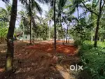 10 Cent residential plot in Attingal, Tollmukk