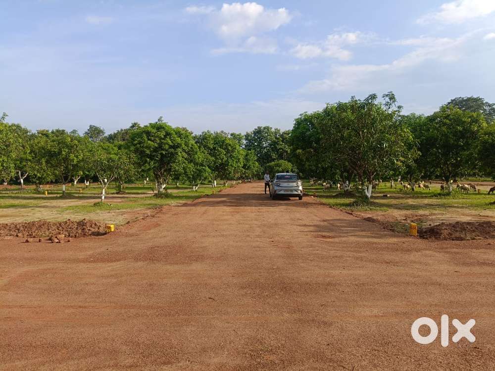 Low cost plots bhogapuram