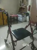 walker adult