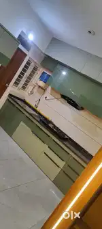 Shah consultancy