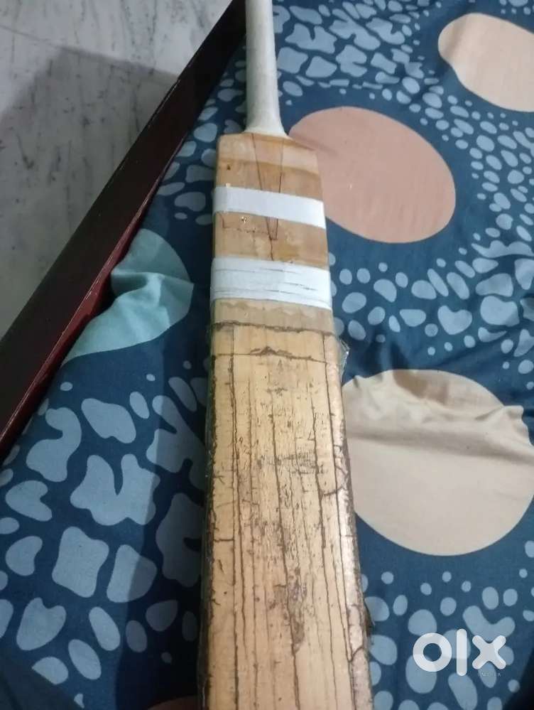 Cricket bat