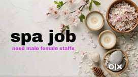 Open hiring job vacancy, immediately Apply Interested person