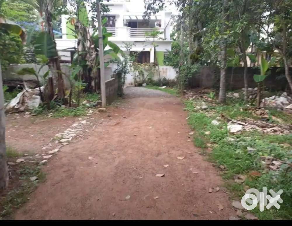 10.25 cents Residential Plot for sale Papad , Nettayam