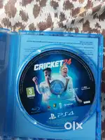 Cricket 24 ( PS4 )