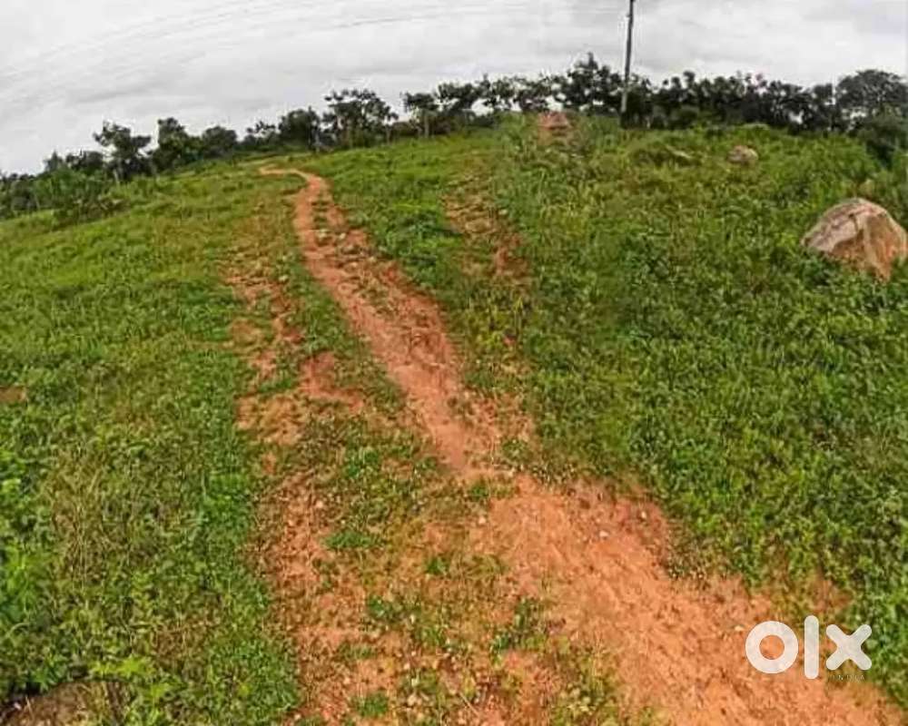 3 bigha plot sale, price- 800000/bigha