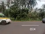 Prime plot for lease near Kannur Kuthuparamba main road