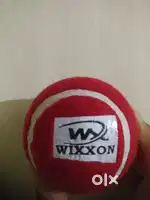 Cricket ball
