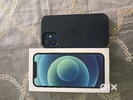 Iphone 12 blue