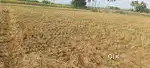 6 acre 2 pump set