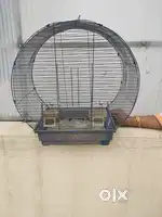 Love Birds Cage