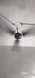 Ceiling fan