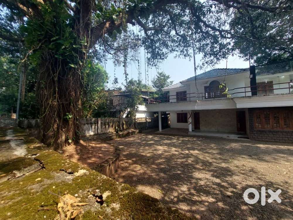 Land  behind Edappally Milma Diary