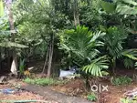 30 cent plot for sale in kodaly. 165000 per cent residential area