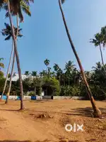 Residential/Commercial land for sale