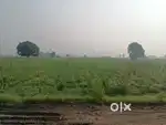 Land available for rent
