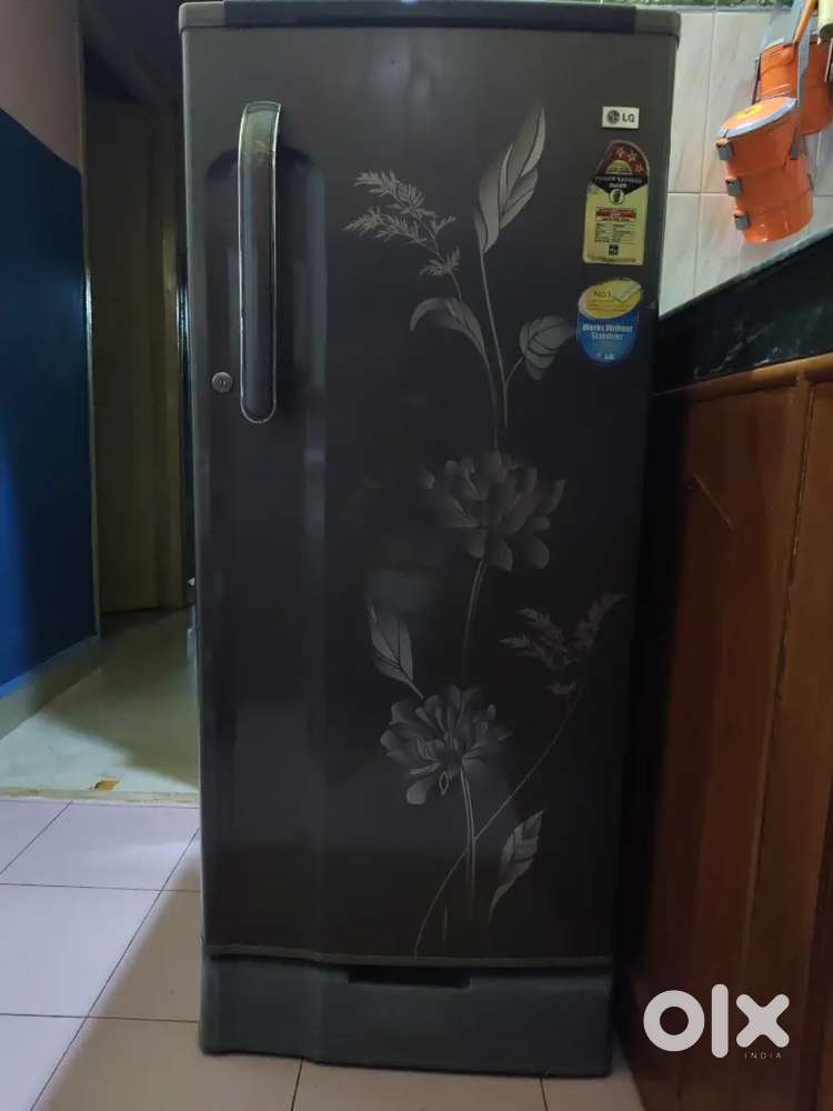 LG Fridge 5Star 185L