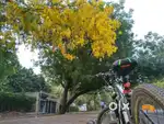 Kross MTB Bicycle