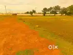 Urgent! Beside VPR Convention, 2 plots only,unbeatable price,grab deal