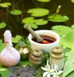 Female therapist vaccancy available in kannur, calicut