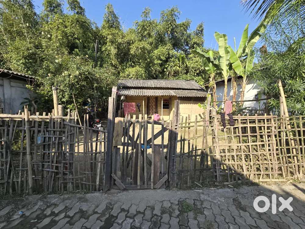 Ledo clg rood meyadi patta land