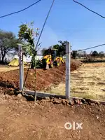 Plot,Singlex,Duplex
