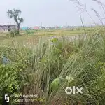 Land for Sale (Boudhgarh, NAC)