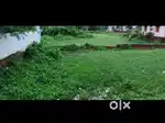 Plot at mancheswara chakeisiani