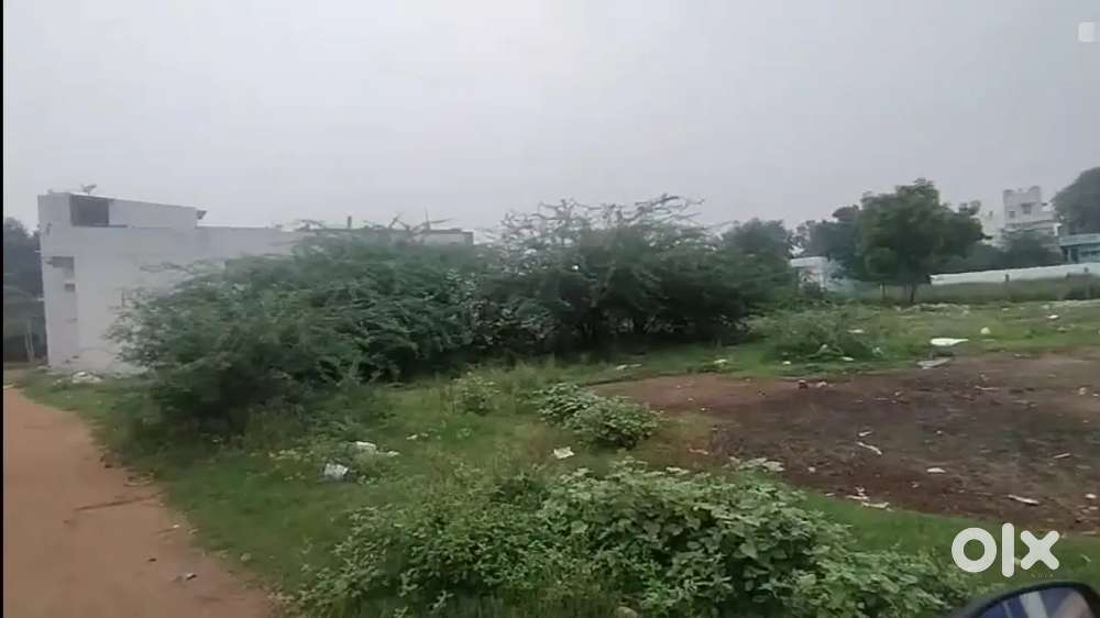 Residential Plot in Chintamani