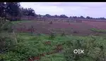 A commercial plot