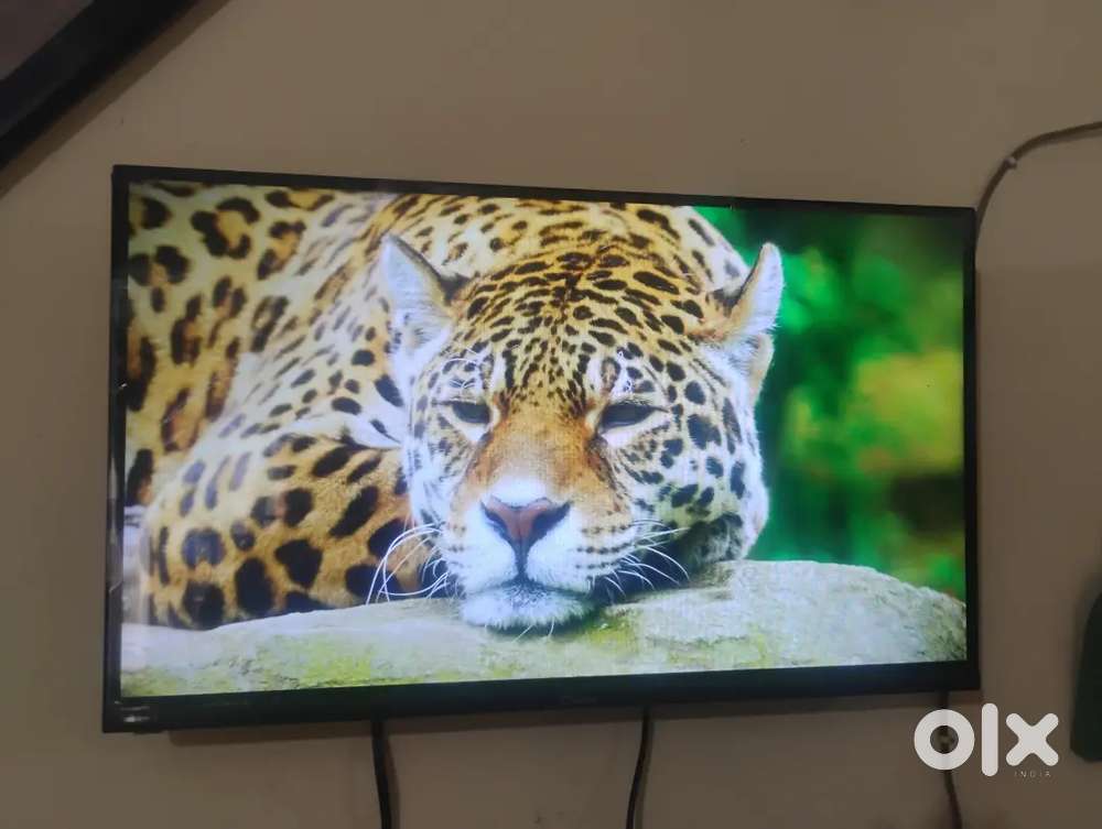 Clarence android tv