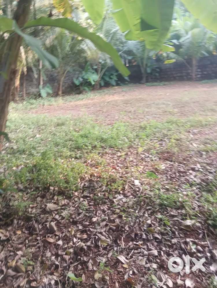 Land for sale near ramanattukara bypass jn