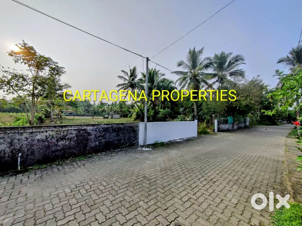 85 CENTS LAND, MARADU, ERNAKULAM, FULL OR PART, 1.4 KMS TO NH-BYPASS