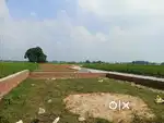 Ram nagar me plot kamlapur me registry free