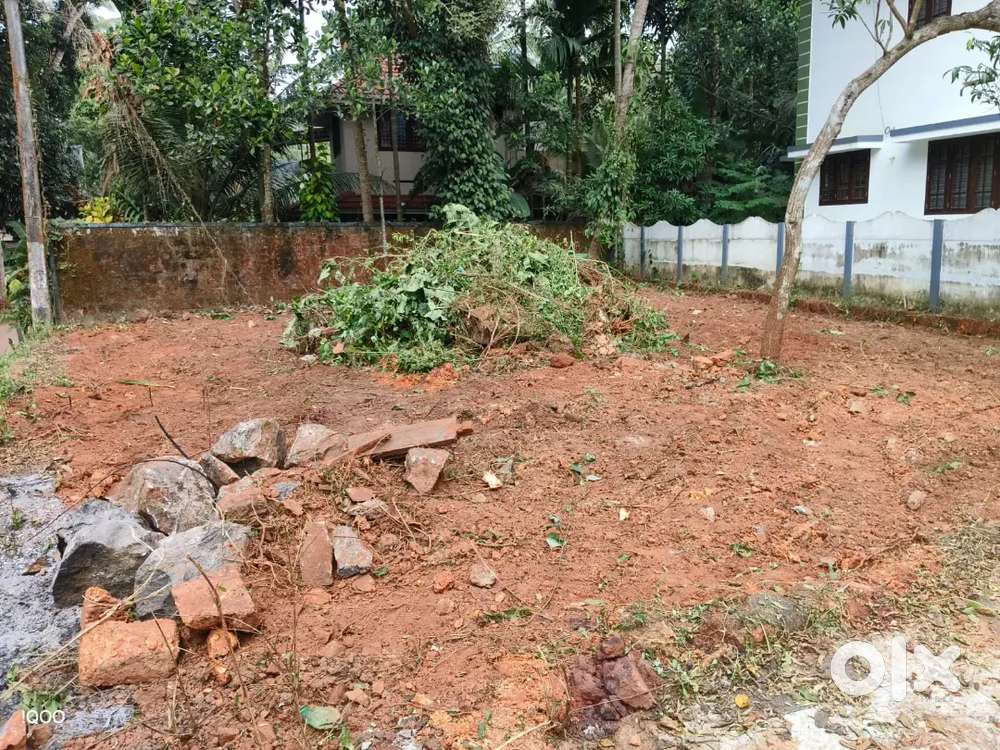 കക്കോടി ചെറുകുളം 4 സെന്റ്  സ്ഥലം വിൽപ്പനയ്ക്ക്