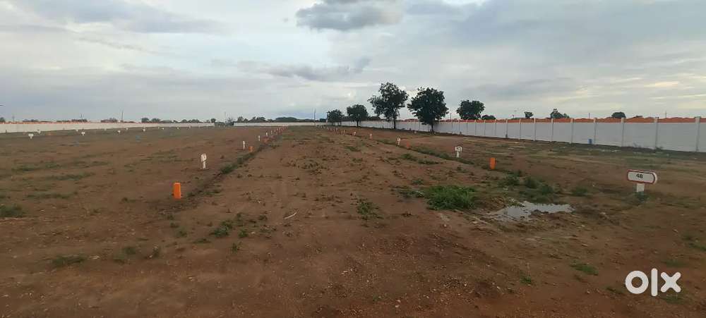 Open Plot's for sale