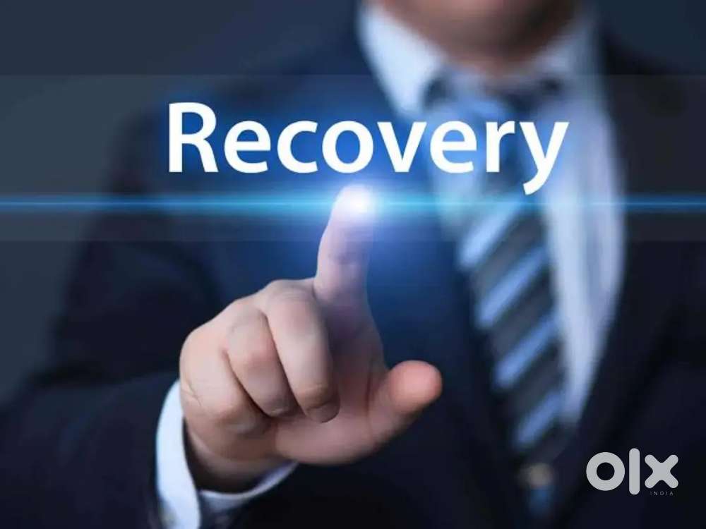 Debt recovery Collection Excutive