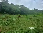 Want to invest in other business