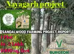 Sandel vally project at nayagarh