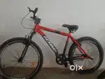 1.5 years old cycle