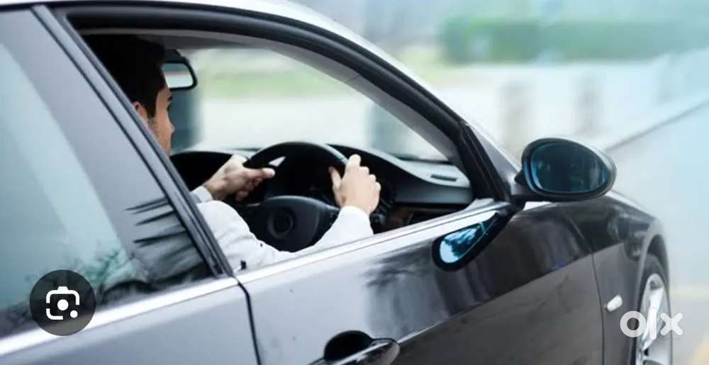 Driver cum purchase assitant