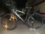 Timba cycle