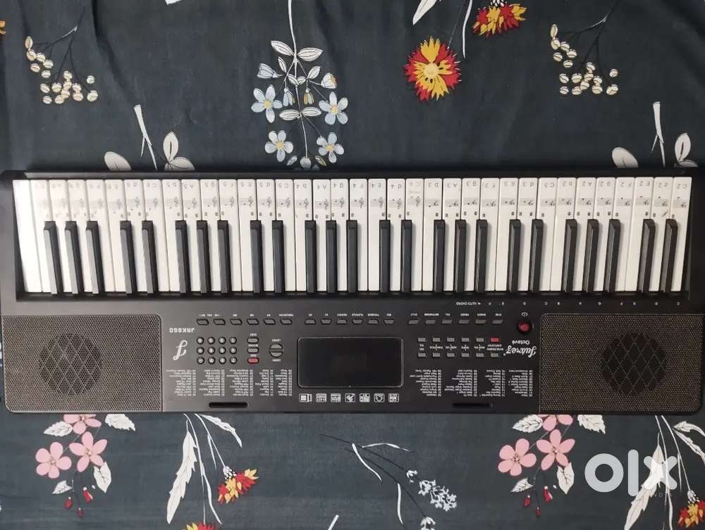 Luarez 61 keys JRK660 Electric piano
