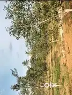 5 acres land beside road side