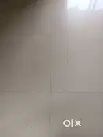 Shop For Rent
