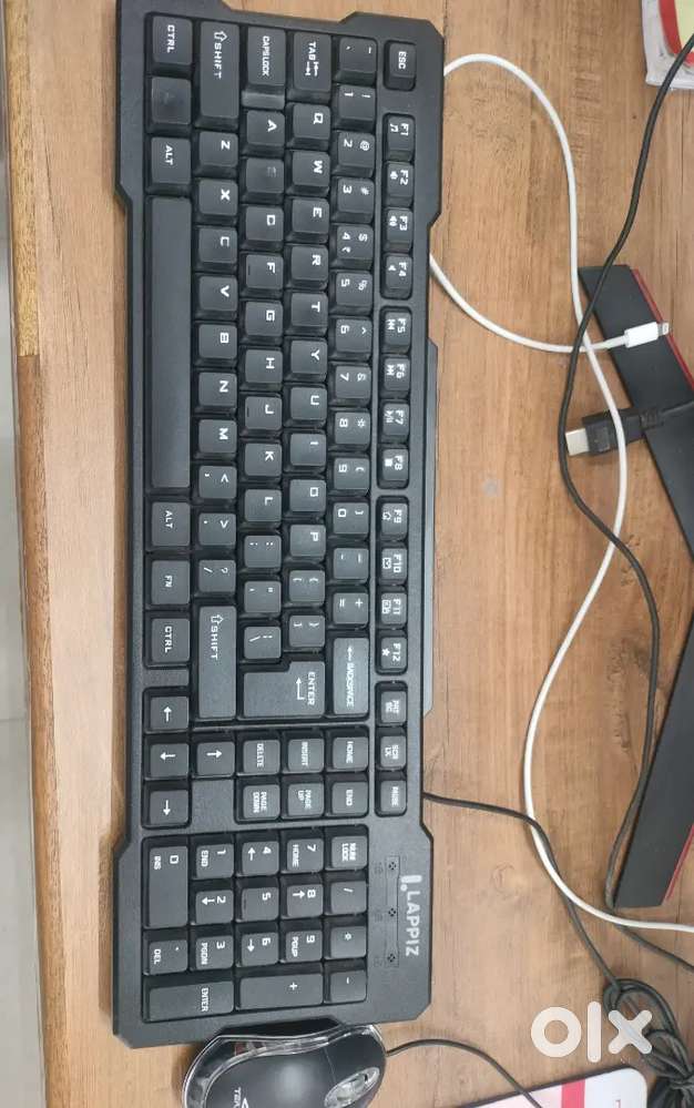 Lappiz USB Keyboard + Terabyte USB Mouse